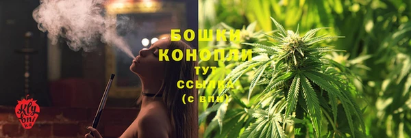 ПСИЛОЦИБИНОВЫЕ ГРИБЫ Михайловка