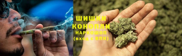 ПСИЛОЦИБИНОВЫЕ ГРИБЫ Михайловка