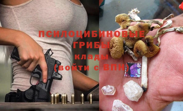 стафф Михайловск