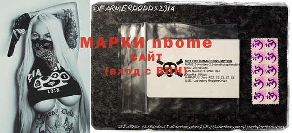стафф Михайловск