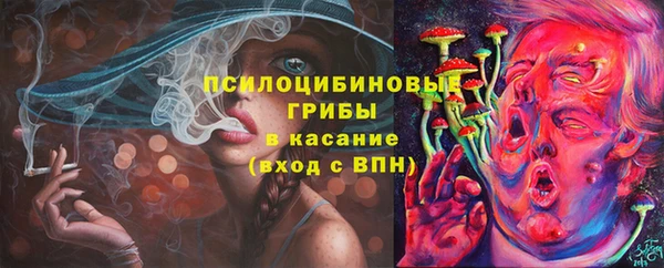 эйфоретик Михайлов