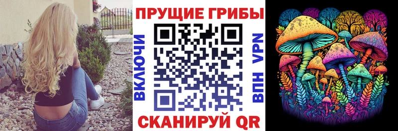 магазин  наркотиков  Правдинск  Галлюциногенные грибы прущие грибы 